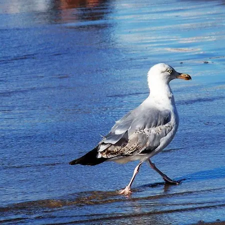 Apd - Apartament Ustronie Morskie