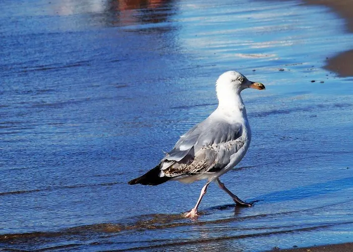 Apd - Apartament Ustronie Morskie